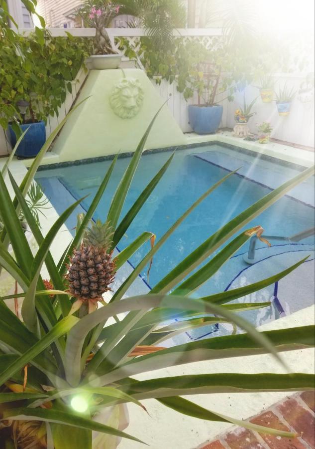 The Artist House Bed and Breakfast Key West Exteriör bild